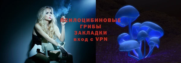 PSILOCYBIN Абинск